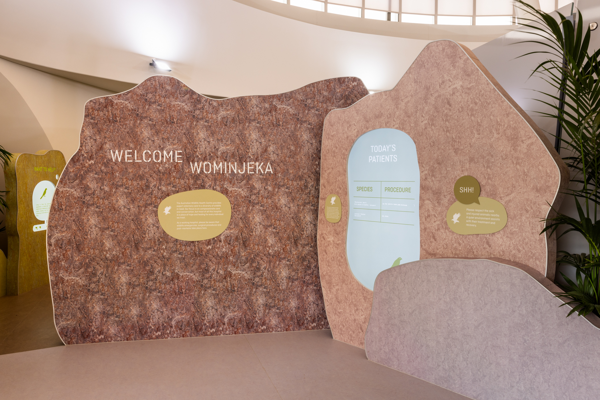 Calm, softly lit entry area of a veterinary clinic fitout, designed to help pets and owners feel at ease from the moment they walk in