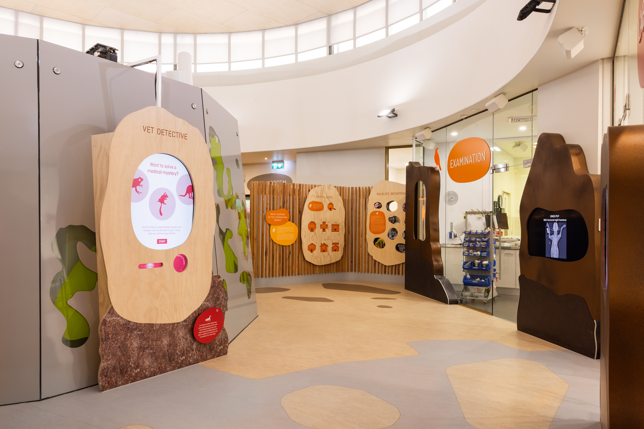 03_02_LabExam_Charlie-Kinross-LR-2177